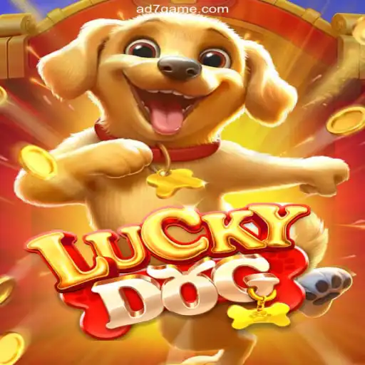 Exploring the Thrills of LuckyDog: Brazil's Premier Betting Platform
